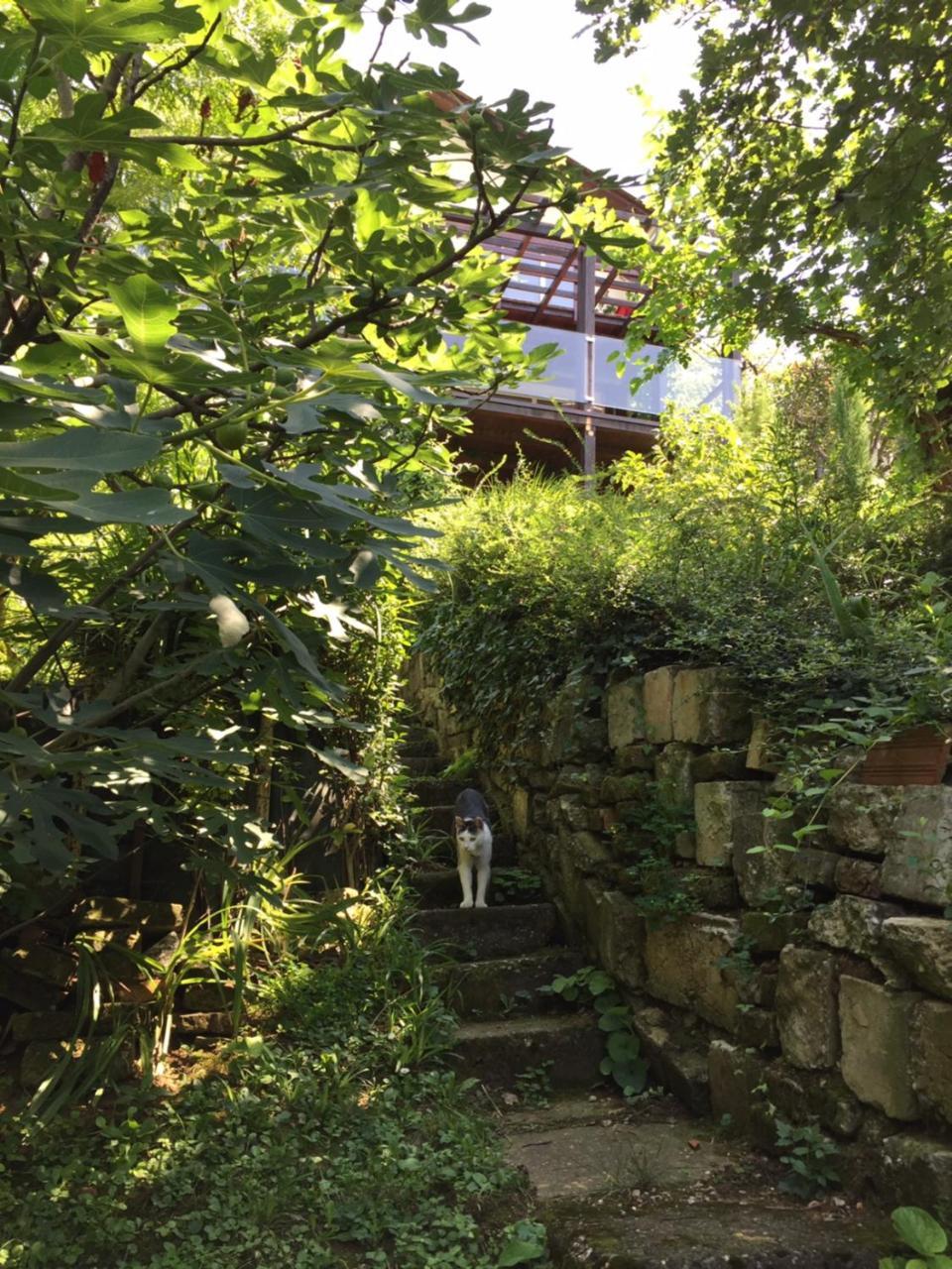Apartamento Pergola House In A Green Oasis With Fantastic View Petrovaradin Exterior foto