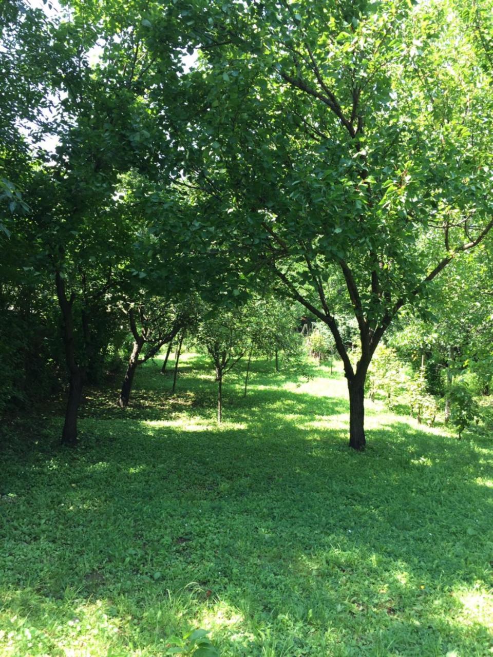 Apartamento Pergola House In A Green Oasis With Fantastic View Petrovaradin Exterior foto