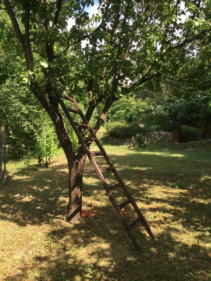 Apartamento Pergola House In A Green Oasis With Fantastic View Petrovaradin Exterior foto